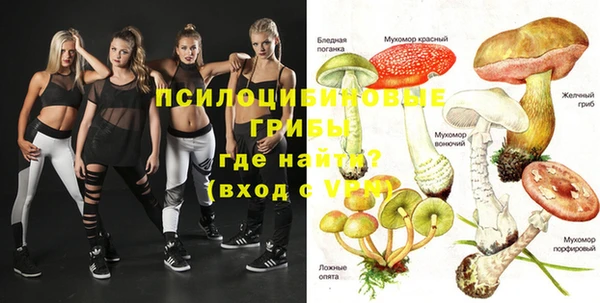 дмт Аркадак
