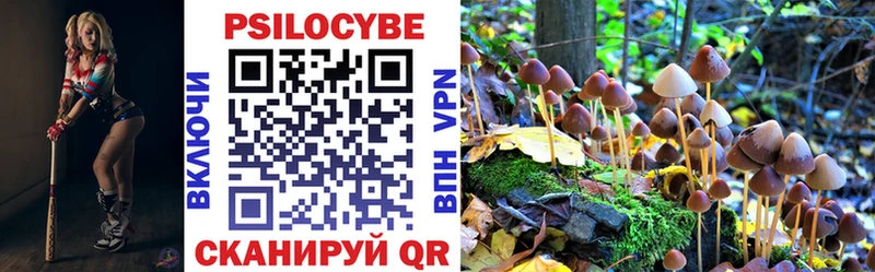Галлюциногенные грибы мухоморы даркнет состав Сурск