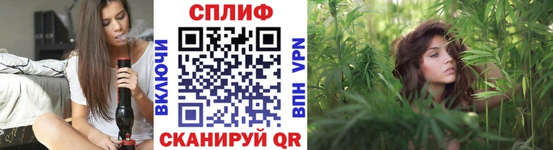 где продают наркотики  Сурск  кракен tor  Каннабис Amnesia 